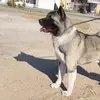 Gregorio Ojeda - @gregorio.ojeda36 - TikTok