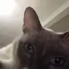Gregorio Puente - @gregorio.puente6 - TikTok