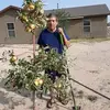 Gregorio Quiñones - @gregorio.quiones0 - TikTok