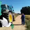 gregoriorobledo - @gregoriorobledo - TikTok