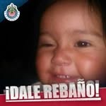 Gregorio Roque - @gregorio.roque.98 - Instagram