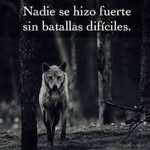 Gregorio Roque - @gregorio.roque.16 - Instagram