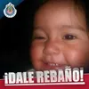 Gregorio Roque - @gregorioroque2 - TikTok
