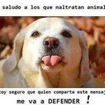 Gregorio Solis - @gregorio.solis - Instagram
