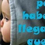 goyitopk2 - @gregorio.vargas - Instagram
