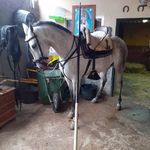 Gregorio Gonzalez Velez - @gregoriogonzalezvelez - Instagram