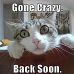 Gregory AbraMs - Facebook
