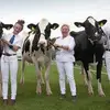 Alan Gregory - @alan.gregory2 - TikTok