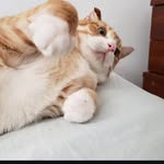 Gregory Alan - @belleairgreg - Instagram