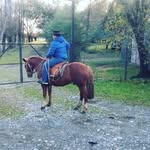 Gregory  Alfaro Valdes - @alfarogregory - Instagram