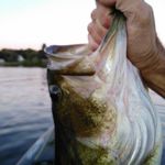 Gregory Allard - @river603 - Instagram