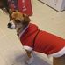 Gregory Anderson - Facebook
