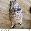 gregoryandersen23 - @gregoryandersen23 - TikTok