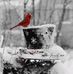 Steven Gregory Anderson  - Facebook