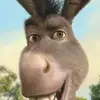 gregory angel - @gregoryangel4 - TikTok