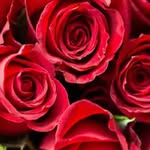 Gregory Apodaca - @apodacagregory58 - Instagram