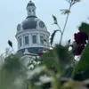 Gregory apple - @gregory.apple3 - TikTok