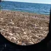 Grégoire barre le bg du 34 - @gregorybarre - TikTok