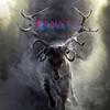 Gregory Baumgarner - @kanati_9 - TikTok