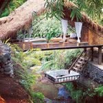 Gregory Bearden - @uppernoftma - Instagram
