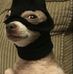 Gregory Beasley - Facebook