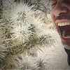 Gregory A Bee - @gregory.a.bee - TikTok