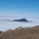 Gregory Bertrand - @gregorybertrand65 - Instagram