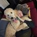 Gregory Blakemore - Facebook