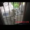 Gregory Blowers - @gregory.blowers - TikTok