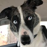 Gregory Borowski - @noseartbylucas - Instagram