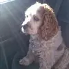 gregoryborosky - @gregoryborosky - TikTok