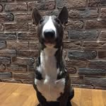 Greg Huart - @brothers_gregory - Instagram