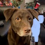 Greg Broyles - @gregorybroyles - Instagram