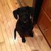 Greg Buie - Facebook