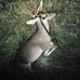 Gregory Burbage - Facebook
