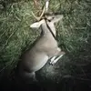 gregoryburbage90 - @gregoryburbage90 - TikTok