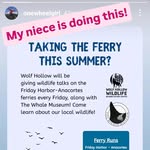 Gregory Burch - @sadednawaby - Instagram