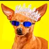 GregoryBurch - @gaytipobeaq - TikTok