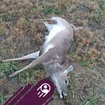 Greg Bynum - Facebook