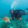 Gregory Cabrera - @island.smoke - TikTok