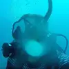gregorycahill560 - @gregorycahill560 - TikTok