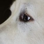 Gregory Calkins - @gregorycalkins - Instagram
