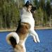 Gregory Campanella - Facebook