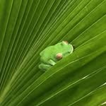 Grégory Cano - @gregory.cano - Instagram