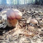 Gregorio Carbone - @gregory.carbone223 - Instagram