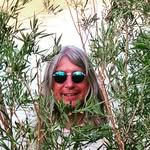 Greg Carney - @gregorycarney14 - Instagram
