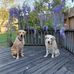 Greg Carney - Facebook
