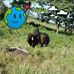 Gregory Castillo - Facebook