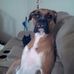 Greg Chamberlin - Facebook