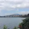 gregory chen - @gregory082020 - TikTok